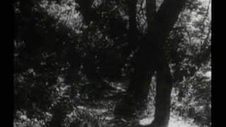 Original Daniel Boone Opening