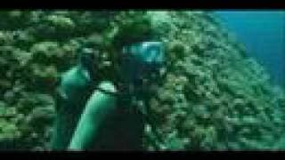 Trailer of "Missing" 2008