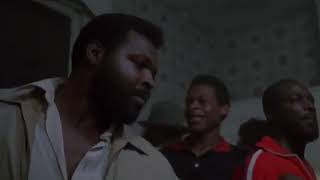 Wolcott (1981) Drug Raid