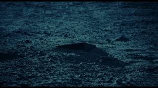 Avarice Trailer HD