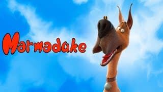 Marmaduke (2022) - bande annonce vf