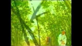 Doomed to Oblivion (Theme Song 2002) | 難得糊塗 - 王喜 : TVB 《鄭板橋》
