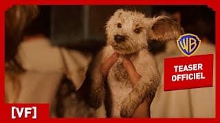 Supergirl | Teaser Krypto (VF) | Milly Alcock, Jason Momoa