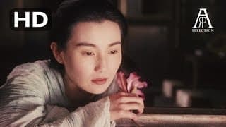 LES CENDRES DU TEMPS REDUX - BANDE ANNONCE HD