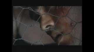 Stringer trailer