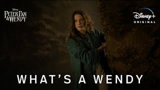 What’s A Wendy Clip