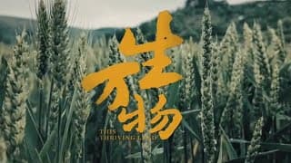 【DRAMA SERIES】THIS THRIVING LAND 生万物 TRAILER