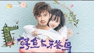 《鳄鱼与牙签鸟》呛爱版片花：张天爱陈柏霖乘风破浪遇到爱 Le crocodile et le pluvian【芒果TV独播剧场】